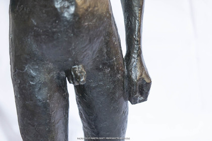 06 03 2016, Saint-Etienne du Grès (FRA,13), Oeuvre de Germaine Richier, Loretto I 1934, Bronze patiné foncé, Numéroté 4 6, fondeur Susse, Paris, 160 x 52 x 35 cm, Collection particulière