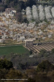 March 30th 2012 - Saint Saturnin les Apt (FRA, 84) - blooming cherry trees