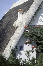Camargue (FRA,13) - Cabane de gardian