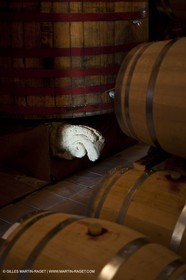 Saint Drézéry (FRA, 34), Domaine de Puech Haut