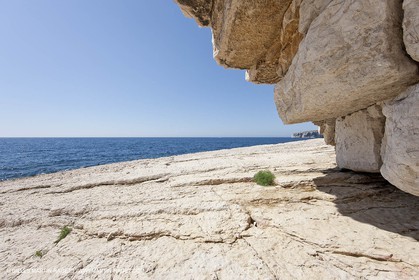 07 05 2009 - Marseille (FRA, 13) - Les Calanques - La Lèque