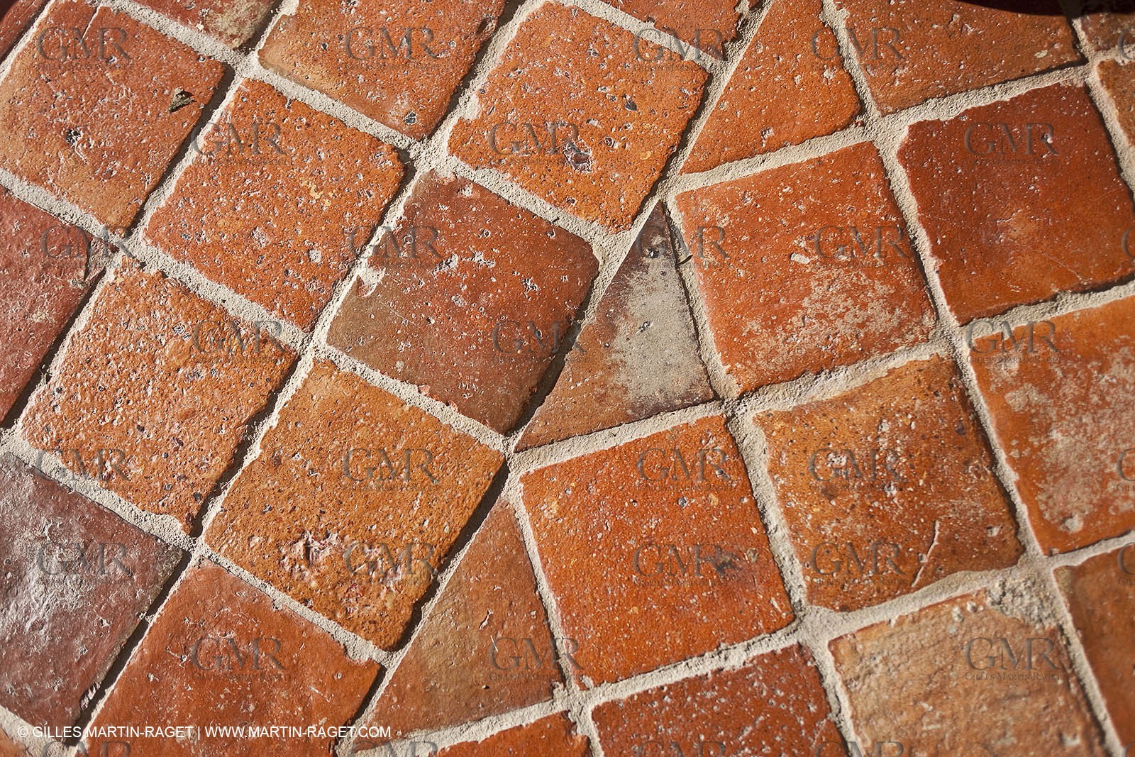 22 12 2008-Carcès (FRA,83) - Domaine du Lac