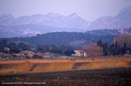 Paysages de sAlpilles près de Maussanne