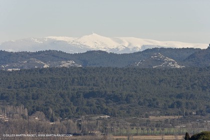 05 02 2008 - Arles (FRA, 13) - Paysages du Pays d'Arles