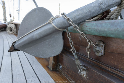 29 03 2019, Barcelona (Spain), Marigold