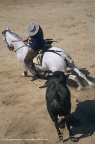 France, Provence, Traditions, Tauromachie, bull fights