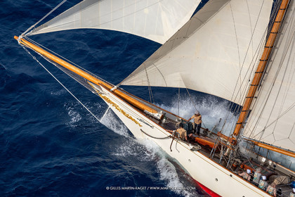 1 10 2024, Saint-Tropez (FRA), Les Voiles de Saint-Tropez 2024, Race Day 2