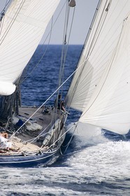 Nioulargue, Voiles de Saint-Tropez, J class, Endeavour