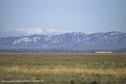 France, south, Alpilles landscapes