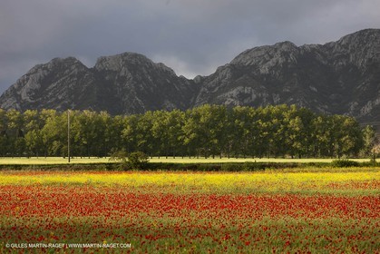 29 04 2012 ( Saint Rémy de Provence (FRA, 13) - Chaîne des Alpilles vers Romanin