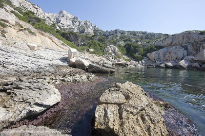 20 05 2009 - Marseille (FRA, 13) - Les Calanques - Calanque des Cairons