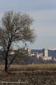 05 02 2008 - Arles (FRA, 13) - Paysages du Pays d'Arles