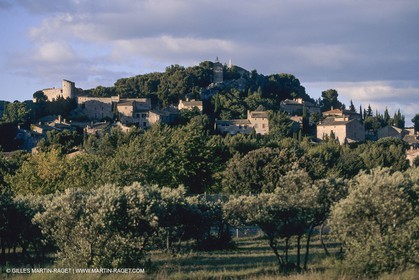 France, Provence, paysage des Alpilles, Alpilles landscapes, Eygalières