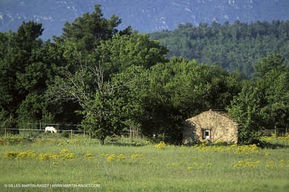 Aix en Provence area - Sainte Victoire Mountain