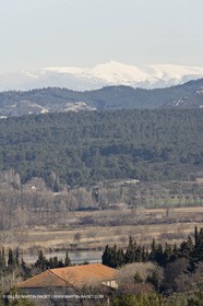 05 02 2008 - Arles (FRA, 13) - Paysages du Pays d'Arles