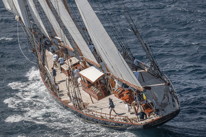 28 09 2022? Saint-Tropez,(FRA,83), Les Voiles de Saint-Tropez 2022 Régate N° 2 poup les modernes, navigation libre pour les grandes goélettes