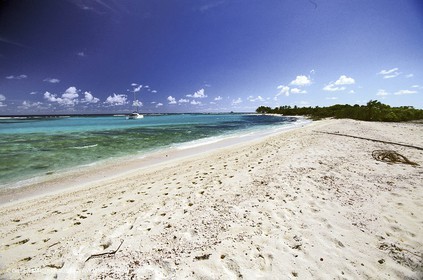 Multicoque au mouillage