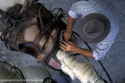 Elevage des chevaux et taureaux de Camargue