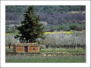 Produit : Tirage photo réalisé par nos soins sur imprimante jet d'encre professionnelle Epson à partir de 8 encres ultrachrome inaltérables (label Digigraphie).Formats au choix : . 30x40 cm. 50x70 cm. 80x120 cm.Choix des papiers :. Papier standard brillant 250 gr., filet noir, marge blanche, tirage non signé. Papier haut de gamme satiné 290 gr. filet noir, marge blanche, tirage vérifié et signé par l'auteur.. Autres supports (canvas, acrylique, dibond) sur demandeConditionnement : tube cylindrique renforcé.Options pour l'expédition : . colissimo + dépôt boîte aux lettres (France uniquement). Colissimo avec signature à réception. Transporteur express (2 jours ouvrés) avec signature à réceptionCliquez sur caddie pour sélectionner votre formule et démarrer la procédure de commande en ligne