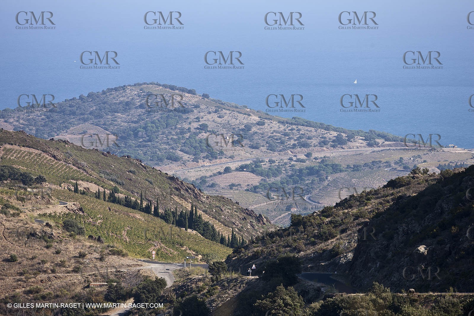 17 10 2011 - Vermeille Coast (FRA, 66) - Corbières Vineyards