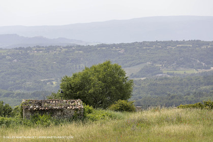 10 06 2018, Caseneuve (FRA,84)