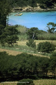 Porquerolles