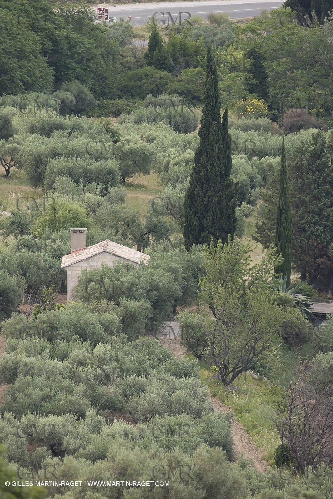 June 24th 2008 - Les Baux de Provence (FRA,13) - Alpilles hills landscapes