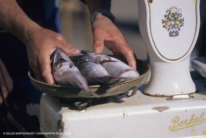 France, Provence, Cooking, Bouillabaisse