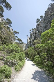 03 05 2009 - Marseille (FRA, 13) - Les Calanques - En Vau - Vallon d'en Vau