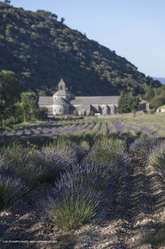 25 06 2018, Gordes (FRA,84), Abbaye de Sénanque