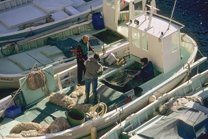 Pêche, barques, pointus, pêcheurs