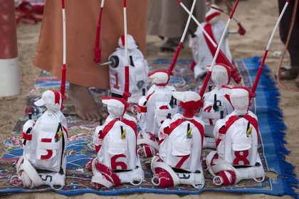 20 11 2010 - Dubai (EAU) - Courses de chameaux