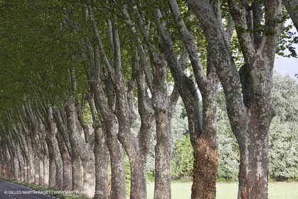 29 04 2012 ( Saint Rémy de Provence (FRA, 13) - Chaîne des Alpilles vers Romanin