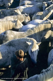 Camargue (FRA,13) - Gardians