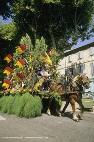 France, Provence, Saint-Rémy de Provence, Careto ramado (Char fleuri)