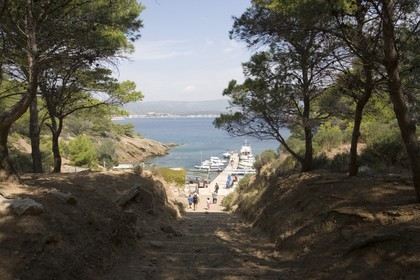 Ile Verte, la Ciotat