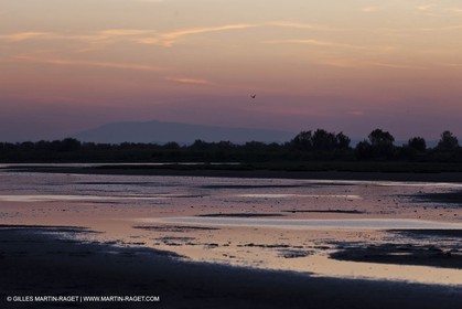 25 05 2011 - Les Saintes Maries de la Mer (FRA,13) - Fête des Gitans