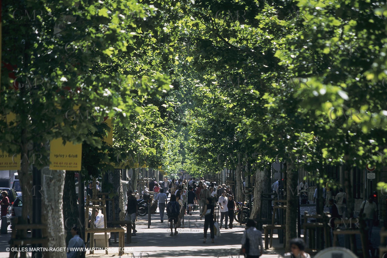 France,Provence, Aix en Provence, Cours Mirabeau