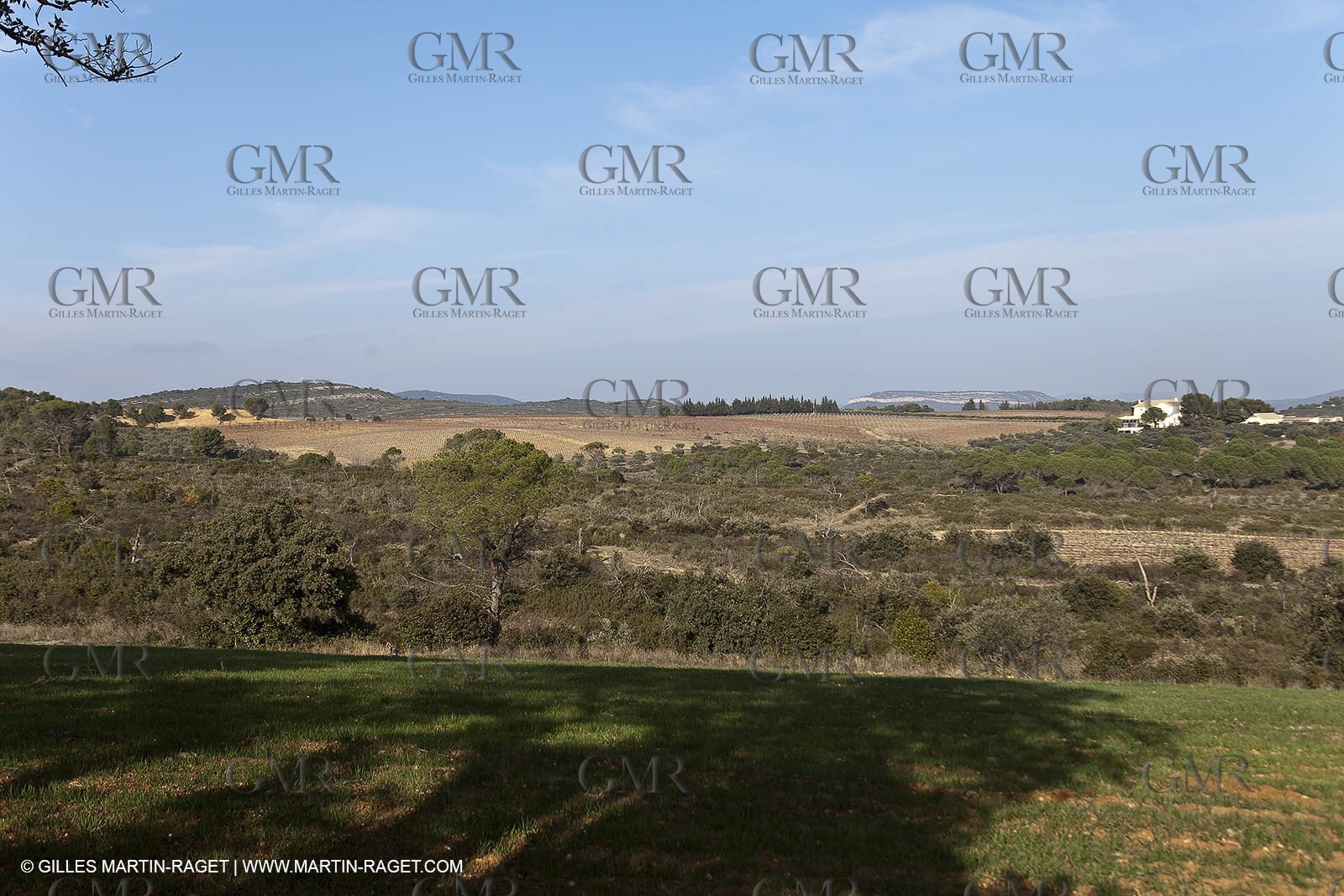 Saint Drézéry (FRA, 34), Domaine de Puech Haut