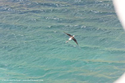 27 05 2009 - Marseille (FRA, 13) - Les Calanques - Sormiou
