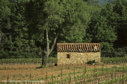 Luberon (FRA,84), Fall colors