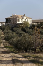 Saint Drézéry (FRA, 34), Domaine de Puech Haut
