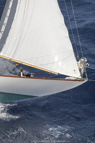 18VSTD5_7927.jpg
