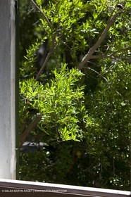 12 07 2010 - Saint Gilles Croix de Vie (FRA,85) - Chantier Benetreau - First 30