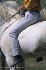 France, Provence, Camargue, Gardians de Camargue, métier, fêtes, élevage, tri