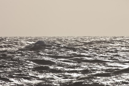 27 08 2010 - Minorque (ESP) - Cap Favaritx (côte Est)