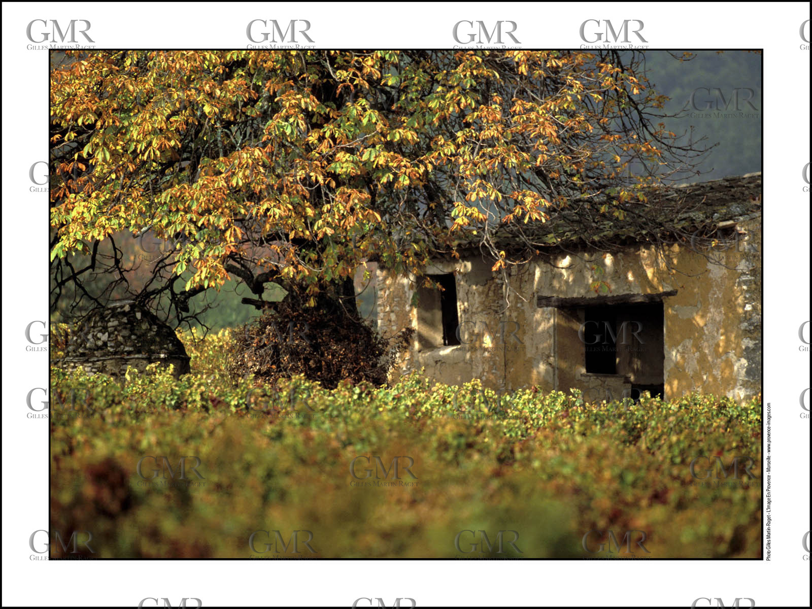 Product: in house made quality print on 8 ultrachome colors Epson ink Jet printer.Available sizes: . 30x40 cm. 50x70 cm. 80x120 cmAvailable papers: . Standard 250 gr glossy paper print, black streak, white margin, no signature. Top quality glossy 290 gr. paper, black streak, white margin, checked and signed by the author. Fine Art print (signed, numbered, stamped, registered) on demand. Other supports (Canvas, Acrylic, Metal) on demandPackaging: cylindric reinforced tubeShipping options: regular mail or Shipping companyClick on the basket icon to select your options and start the online ordering process