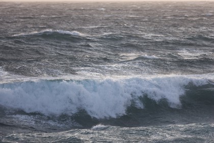 23 04 2008 - Santa teresa di Gallura (ITA, Sardaigne) - Coup de Mistral sur la côte du cap Testa