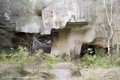 22 02 2008 - Saint Rémy de Provence (FRA, 13) - Paysages des Alpilles