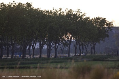 24 Juin 2008 - Saint Rémy de Provence (FRA-13) - Paysage des Alpilles